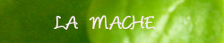 titre_mache.jpg