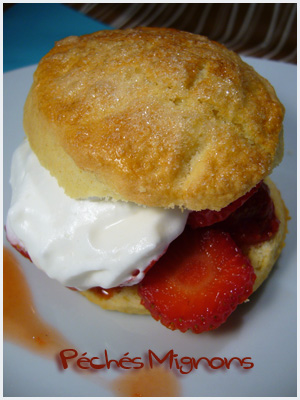 Nigella Lawson, Fraises, Farine, Sucre, Crème, Beurre, Oeufs, Amérique, 