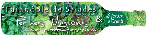 Concours farandole de salades