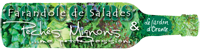 Concours salade