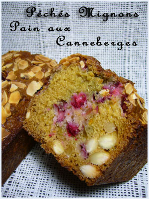 Cake, Orange, Sucre roux, Cranberries, Canneberges, Amandes, Fruits secs, Beurre, Farine, Oeufs, Facile, 