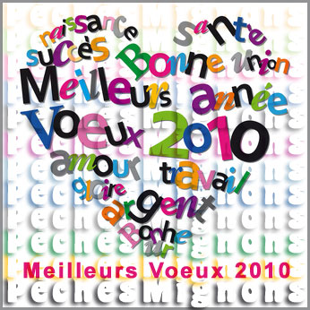 Bonne Année 2010