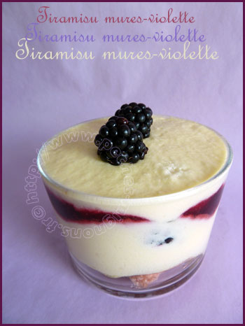 Tiramisu mures-violettes