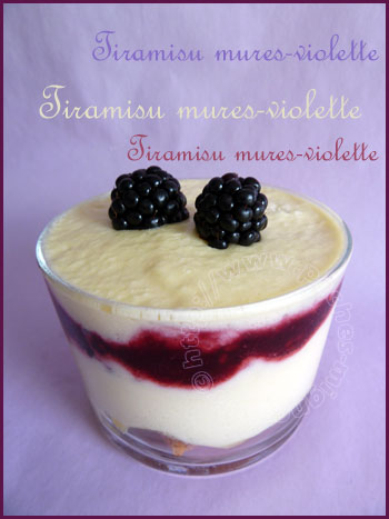 Tiramisu mures-violettes