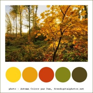 101101_ColorComboAutomne