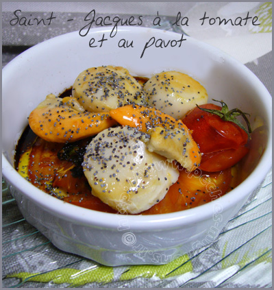 Ail, Basilic, Facile, Pavot, Saint-Jacques, Tomates