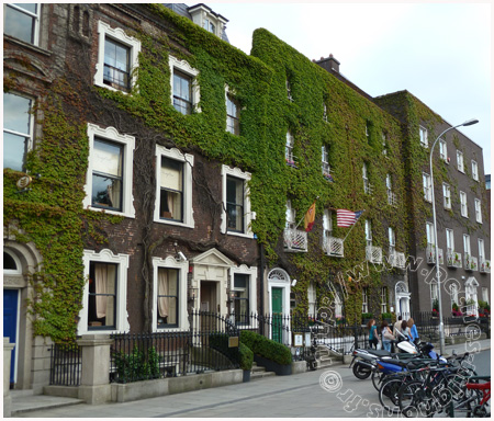 maison sur st stephen green dublin