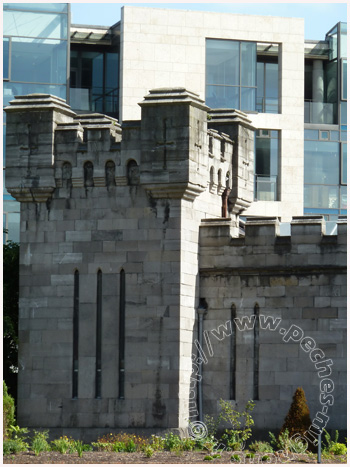 Dublin Castle Jardin